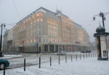 ako-neko-pomisli-da-namesti-utakmicu-u-beogradu…-evo-koga-je-srpska-policija-„poslala“-da-to-spreci!