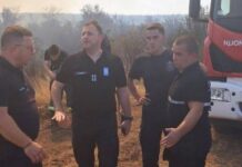 luka-causic-u-kladovu:-odbranjene-kuce-u-kostolu,-pozar-zahvatio-vise-od-100-hektara
