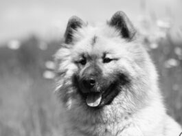 melina-dzinovic-kupila-luksuzan-stan-u-monte-carlu:-prva-susjeda-joj-brena,-evo-koliko-je-iskesirala-novca…