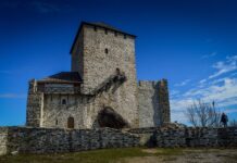 vojvodina-sve-jaca:-novosadjani-doveli-igraca-iz-superlige-srbije