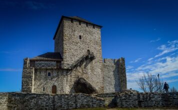 vojvodina-sve-jaca:-novosadjani-doveli-igraca-iz-superlige-srbije