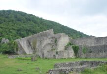 darka-lazica-zena-uhvatila-da-ovo-radi-u-dvoristu,-pa-snimak-odmah-okacila-na-mreze-(foto)