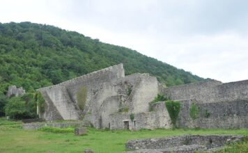 darka-lazica-zena-uhvatila-da-ovo-radi-u-dvoristu,-pa-snimak-odmah-okacila-na-mreze-(foto)