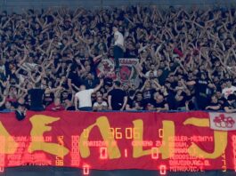 zvezda-ostala-„kratkih-rukava“?-pojacanje-iz-nba-lige-ipak-(ne)-dolazi?