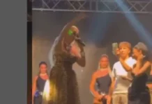 (video)-zvizduci-i-psovke:-zasto-je-jelena-karleusa-skratila-koncert-u-loznici-–-nedeljnik