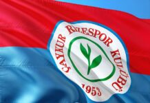 zvezda-odlozila-mec-u-superligi-srbije!-crveno-beli-zbog-obaveza-u-evropi-pomerili-jos-jedan-mec-u-domacem-sampionatu