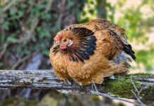 „bio-bi-najsrecniji-da-sam-nestala“:-pevacica-ne-zeli-da-cuti-na-uvrede-poznatog-muzicara