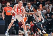 davidovac-doziveo-saobracajnu-nesrecu:-vozac-pod-dejstvom-alkohola-naleteo-na-kosarkasa-zvezde