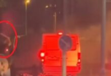 jeziva-tuca-navijaca-u-beogradu:-„grobari“-i-„delije“-se-tukli-krvnicki-(video)
