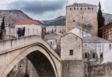 „stari-je-to-lisac“:-letonski-mediji-ovako-pisu-o-reprezentaciji-srbije-pred-duel-na-evrobasketu