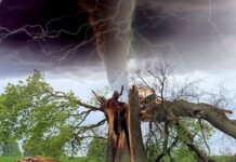 tornado-u-italiji-cupao-stabla-iz-korena-i-nosio-krovove-sa-kuca:-hitna-evakuacija-u-vise-mesta,-ljudi-u-panici-(foto)