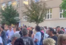 zbor-roditelja-pete:-direktorki-nesovic-protivpravno-dodeljen-jos-jedan-mandat,-vise-od-20-odsto-nastavnika-trpi-posledice-zbog-podrske-protestima-–-nedeljnik