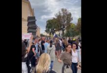 odrzan-protest-srpske-dijaspore-u-becu-–-nedeljnik