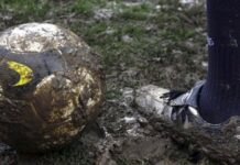 jezivo-nasilje:-otac-mladog-fudbalera-tesko-povredio-decaka-usred-utakmice!-(video)