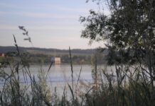 „doslo-mi-je-da-placem“:-karleusa-zgrozena-desingericom,-ima-plan-za-njega-(video)