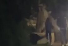 (uznemirujuci-video)-tinejdzeri-izboli-coveka-nozem