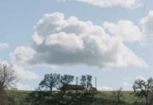 vreme-danas:-pretezno-suncano-i-toplo,-popodne-moguci-pljuskovi-–-nedeljnik