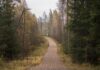 autsors-–-ruski-dead-men-walking