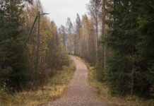 autsors-–-ruski-dead-men-walking