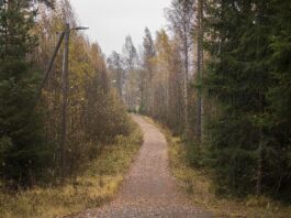 autsors-–-ruski-dead-men-walking