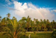 „spavao-sam-sa-vise-od-50-pevacica,-obecavao-sam-im-maldive“:-darko-lazic-sve-priznao