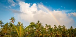 „spavao-sam-sa-vise-od-50-pevacica,-obecavao-sam-im-maldive“:-darko-lazic-sve-priznao