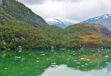 kradja-o-kojoj-bruji-region!-srbija-je-zatecena:-bosanci-pokusali-da-uzmu-zvezdinog-bisera