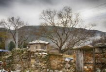 „izvinicu-mu-se,-ali…“-dusan-vlahovic-ponovo-na-meti-italijana