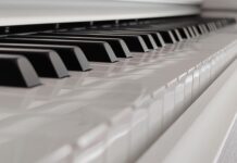 veliki-koncert-u-cast-sabana-saulica-–-secanje-na-kralja-narodne-muzike-u-sapcu
