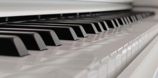 veliki-koncert-u-cast-sabana-saulica-–-secanje-na-kralja-narodne-muzike-u-sapcu