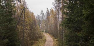 ruski-triler-najgledaniji