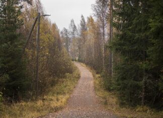 ruski-triler-najgledaniji