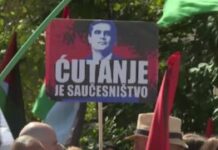 podgorica:-protest-podrske-palestini,-trazi-se-prekid-saradnje-s-izraelom-–-nedeljnik