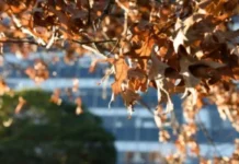 vreme-danas:-sveze-jutro,-toplo-i-vedro-popodne-–-nedeljnik