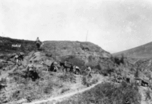 danas-je-godisnjica-proboja-solunskog-fronta:-zaboravljene-istorije-prvog-svetskog-rata-–-nedeljnik