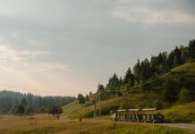 cela-bosna-gleda-i-ne-veruje:-evo-sta-je-u-beogradu-uradio-adem-avdic
