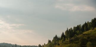 cela-bosna-gleda-i-ne-veruje:-evo-sta-je-u-beogradu-uradio-adem-avdic