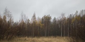 ruska-spoljna-obavestajna-sluzba-optuzila-eu-da-za-1.-novembar-sprema-„majdan“-u-srbiji