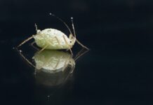 “lice-mi-je-propalo“:-milica-velickovic-ocajna-–-hitno-potrazila-pomoc-plasticara-(foto)