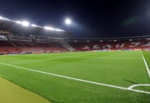 ogroman-posao-ofk-beograda:-„romanticari“-se-pojacali-iz-crvene-zvezde!