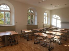 danas:-smenjena-sefica-republicke-prosvetne-inspekcije-–-nedeljnik