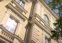 danas:-direktorka-zemunske-gimnazije-podnela-ostavku-–-nedeljnik
