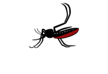 zika-jaksic-otkrio-nove-detalje-nakon-mozdanog-udara…