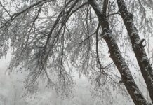 zapad-u-soku!-doneta-odluka-–-rusija-se-vraca-na-takmicenja-sa-grbom,-zastavom,-himnom!