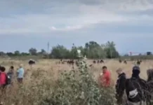u-toku-„setnja-protiv-blokada“-u-novom-sadu:-gradjani-i-policija-„jurili“-se-po-polju-na-klisi-–-nedeljnik