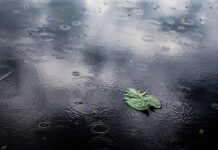 vreme-danas:-oblacno-i-sveze,-ponegde-sa-kisom-–-nedeljnik