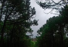 “moja-borba-sa-rakom,-moja-najteza-trudnoca“:-sinanova-cerka-rasplakala-naciju