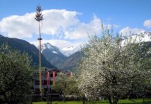 sin-site-ahmic-urnisao-majku-u-eliti:-„od-novca-za-decu-je-ugradila-silikone“