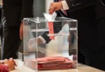 u-negotinu-20%-vise-biraca-nego-stanovnika:-da-li-je-vlast-dovodila-ljude-iz-drugih-gradova-zbog-izbora?-–-nedeljnik