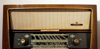 radio-joj-o-glavi:-aleksandra-prijovic-precrtala-ovog-muskarca,-u-sve-upletena-ceca-raznatovic